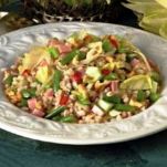 Insalata di farro con mela verde e prosciutto