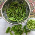 Minestra delicata di piselli