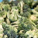 Minestra di broccoli