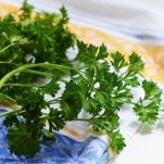 Minestra di frittata