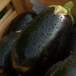 melanzane lavate