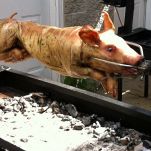 Preprazione del maialino