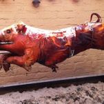 Maialino sullo spiedo