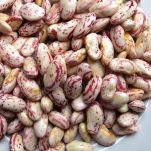 Risotto alla pavese con borlotti