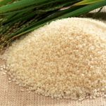 Risotto allo spumante