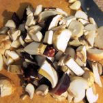 Batuffoli di mais al sugo di funghi