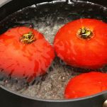 Cecamariti con l’aglione