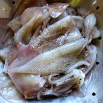 Calamaretti e seppioline ai peperoni