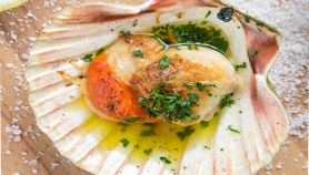 Conchiglie alla fiorentina