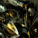 Cozze alla panna