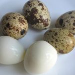 Gamberi al curry con uova di quaglia