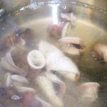 Insalata di frutti di mare