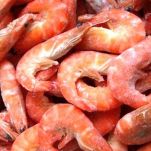 Insalata di frutti di mare