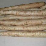 Scorzonera in insalata