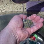 Spaghetti con coda di rospo melanzane e pomodori