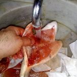 Dentice alla griglia con pomodoro fresco