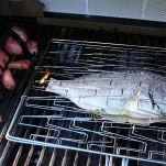 Dentice alla griglia con pomodoro fresco
