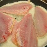 Dentice con salsa di zucchine