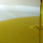 Dentice rosso con salsa al coriandolo