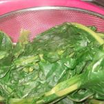 Fave e cicoria all’ercole