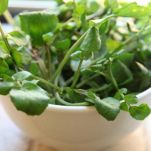 Insalata di mela e mozzarella