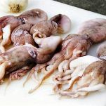 Moscardini con sedano