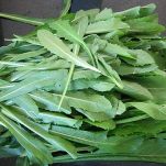 Pappardelle al pesto di cicoria