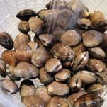 Pastasciutta del porto