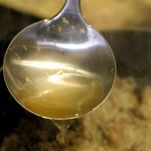 Torta di verza, pancetta e funghi