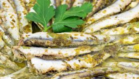 Alici marinate