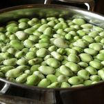 Cavatelli con piselli e fave