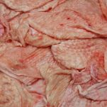 Galantina di tacchino