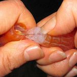 Insalata di gamberi e papaia