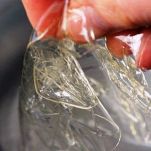 Mousse di salmone affumicato