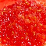 Pomodori ripieni in salsa tonnata