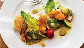 Ricci di mare marinati