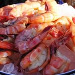 Risotto ai moscardini