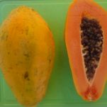 Sedanini alla frutta esotica