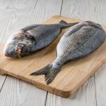 fish on a wooden background