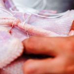 Anatra farcita alla novarese