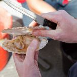 Capesante alla veneziana