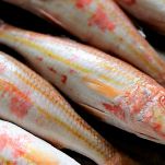 Cartoccio di triglie