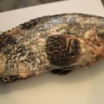 Cernia ripiena ai funghi