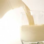 Crostata di sedano e cipolla