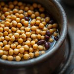 legumi in ammollo per fare mesciua ligure