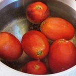 Orecchiette con ricotta dura