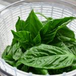 Orecchiette con ricotta dura