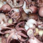 Polpetti in tegame alla napoletana