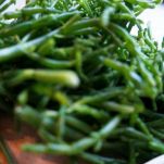 Salmone allo spumante