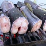 Spiedini di anguilla